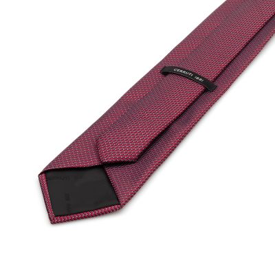Cerruti - Cerruti Kravat (1)